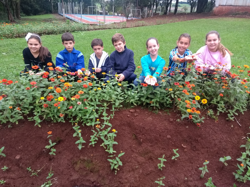 Governo Municipal intensifica ações na Semana do Meio Ambiente